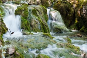 Nationaal park Plitvicemeren: dagtocht vanuit Omiš