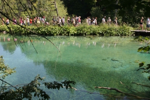 Plitvice Lakes National Park: Full-Day Tour from Split