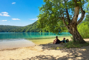 Plitvice Lakes: National Park Official Entry Ticket