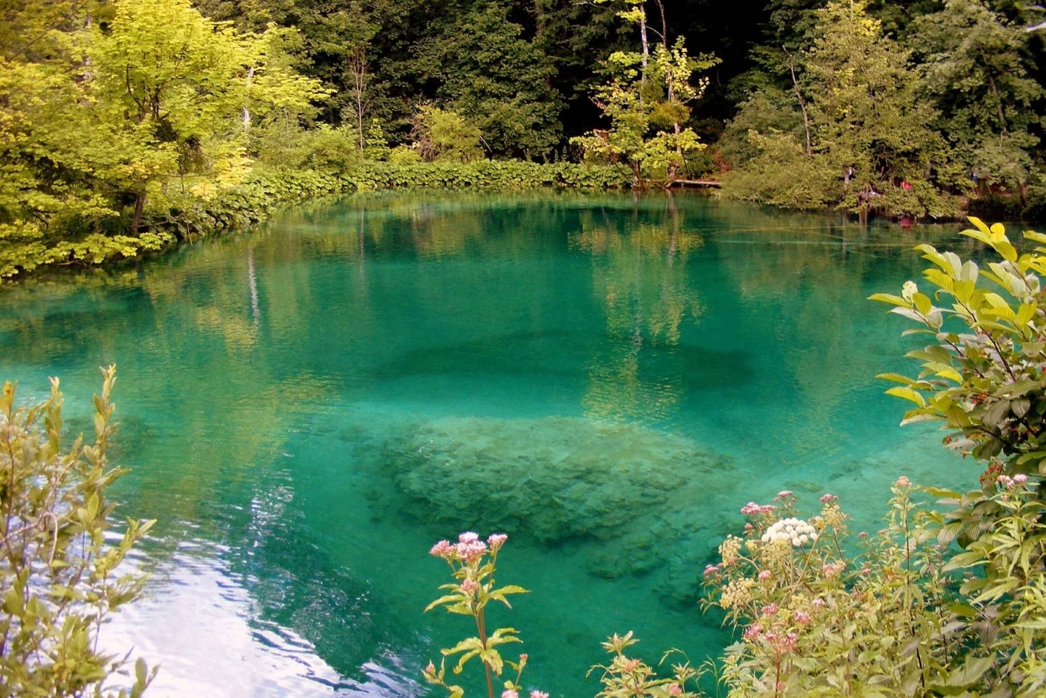 Park Narodowy Jezior Plitwickich: Prywatna wycieczka z Zadaru