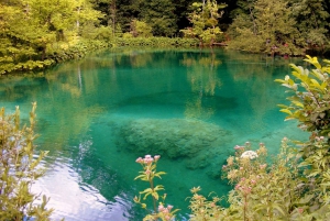 Plitvice Lakes National Park: Private Tour from Zadar
