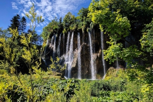 Plitvice Lakes National Park: Private Tour from Zadar