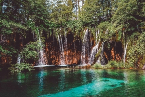 Plitvice Lakes National Park: Private Tour from Zadar