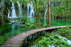 Park Narodowy Jezior Plitwickich: Prywatna wycieczka z Zadaru