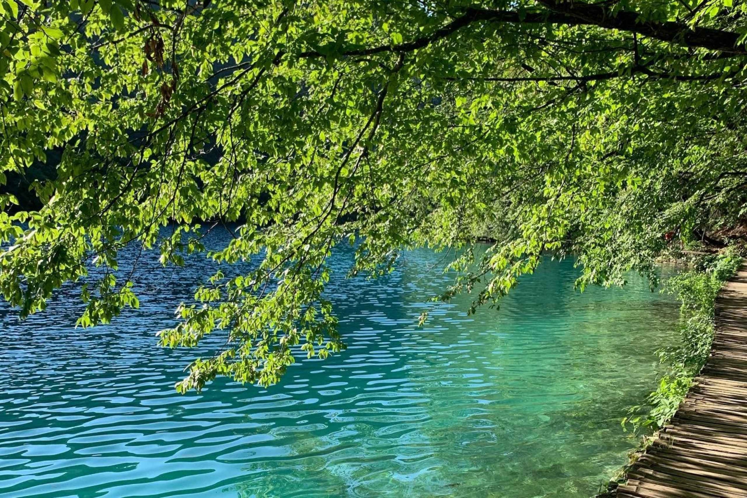 Plitvice Lakes National Park: Walking, Boat, and Train Tour