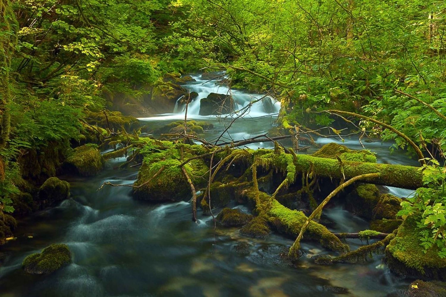 Tour privato guidato dei laghi di Plitvice