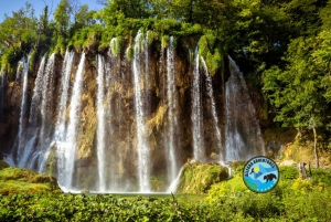 Tour des lacs de Plitvice : billets garantis, train et tour en bateau