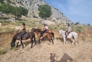 Podstrana: Guided Horseback Riding Experience