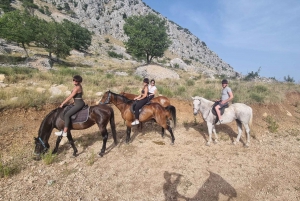 Podstrana: Horseback Riding Experience
