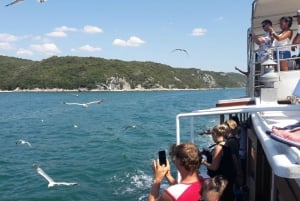 Poreč: Boat tour to Rovinj with lunch and drinks