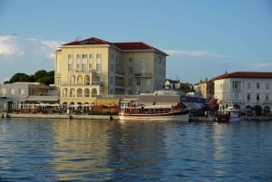 Poreč: Dolphin Spotting Cruise with Included Drinks