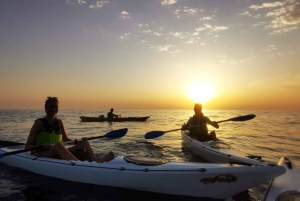 Poreč: Havkajakkpadling ved solnedgang