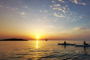 Poreč: Havkajakkpadling ved solnedgang
