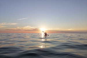Poreč: Havkajakkpadling ved solnedgang