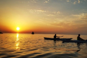 Poreč: Havkajakkpadling ved solnedgang