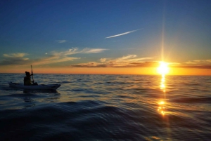 Poreč: Havkajakkpadling ved solnedgang