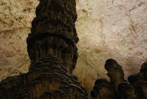 Из Загреба: Любляна, экскурсия в пещеру Постойна и замок Предьяма