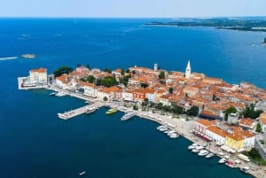 Private bådture i Porec: Delfinsafari, panorama