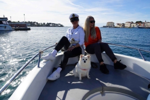 Private bådture i Porec: Delfinsafari, panorama