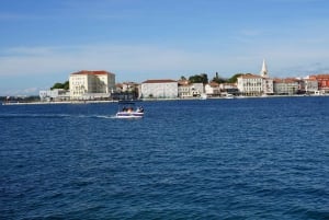 Private bådture i Porec: Delfinsafari, panorama