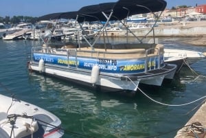 Privata båtturer i Porec: delfinvisning, panorama