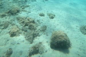 Privé-rondvaart op maat naar de Elaphiti-eilanden