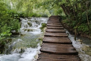 Private Full - Day Tour: Plitvice Lakes from Dubrovnik