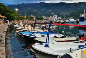Tour privato di un giorno in Montenegro da Dubrovnik