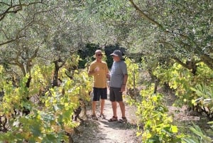 Tour privado a las cataratas de Krka desde Split con cata de vinos y almuerzo
