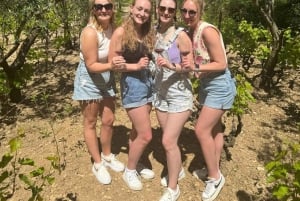 Tour privado a las cataratas de Krka desde Split con cata de vinos y almuerzo