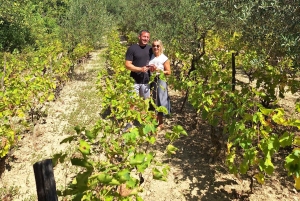 Privat tur til Krka-vandfaldene fra Split med vinprøve og frokost