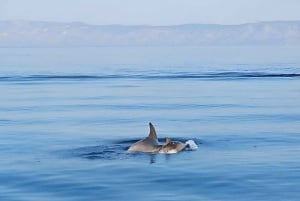 Tour privado en lancha motora de lujo con un experto local
