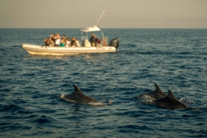 Private Panorama with Snorkeling and Dolphins Tour in Poreč