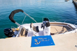 Private Panorama with Snorkeling and Dolphins Tour in Poreč