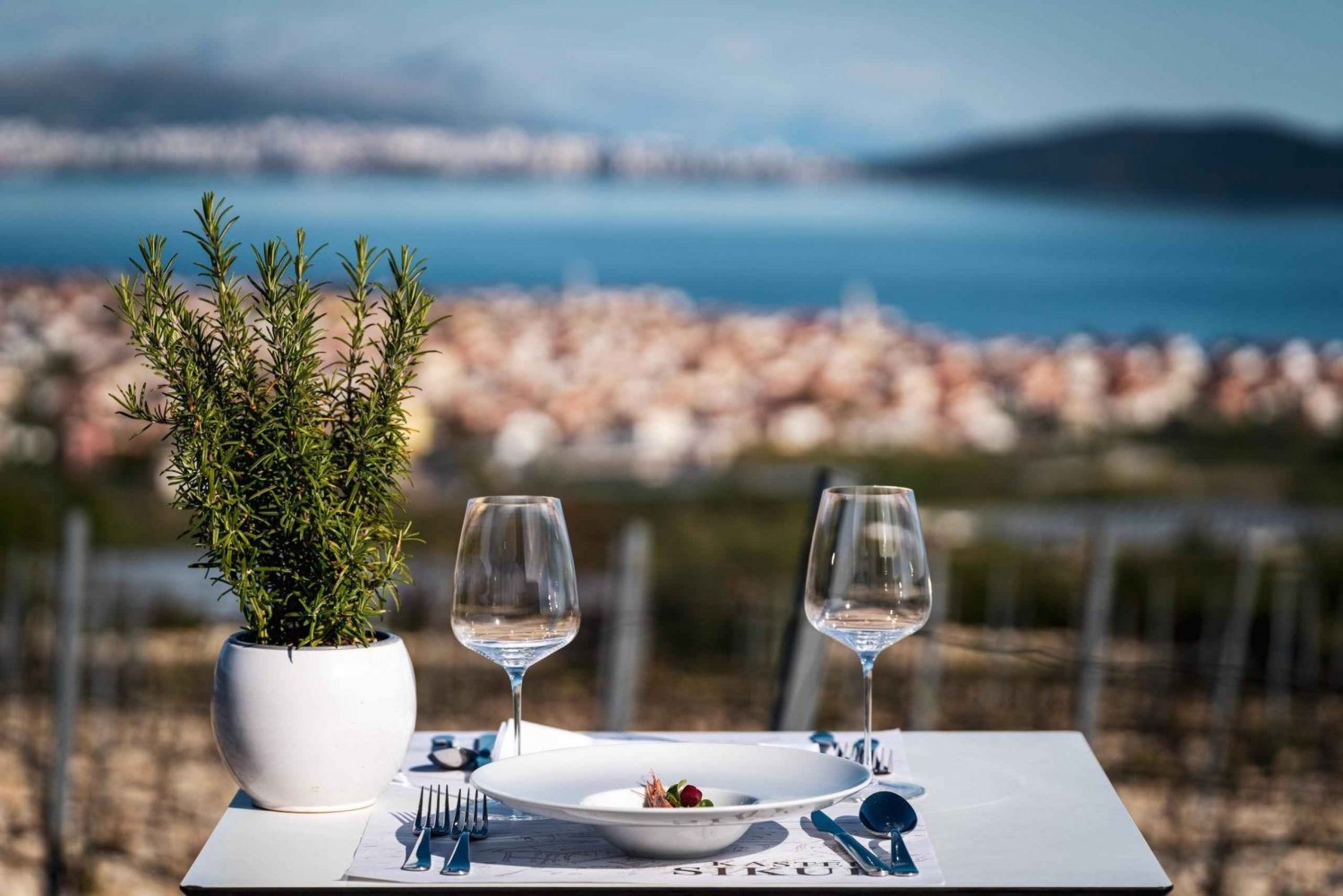 Degustazione di vino e vigneto privato a Spalato e Trogir con vista sul mare
