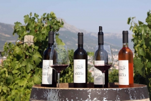 Degustação de vinhos e vinhedos privativos em Split e Trogir com vista para o mar