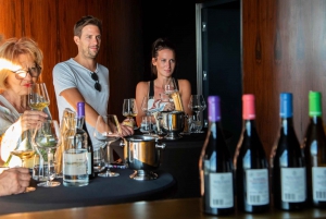 Private tour: From Opatija: Luxury Wine Tasting