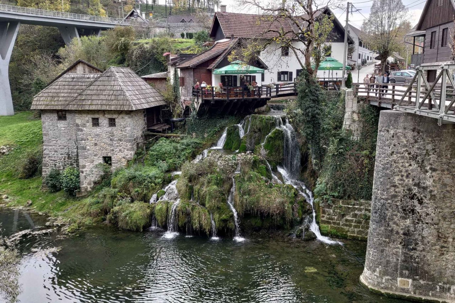 Dolphin tour 2 hours