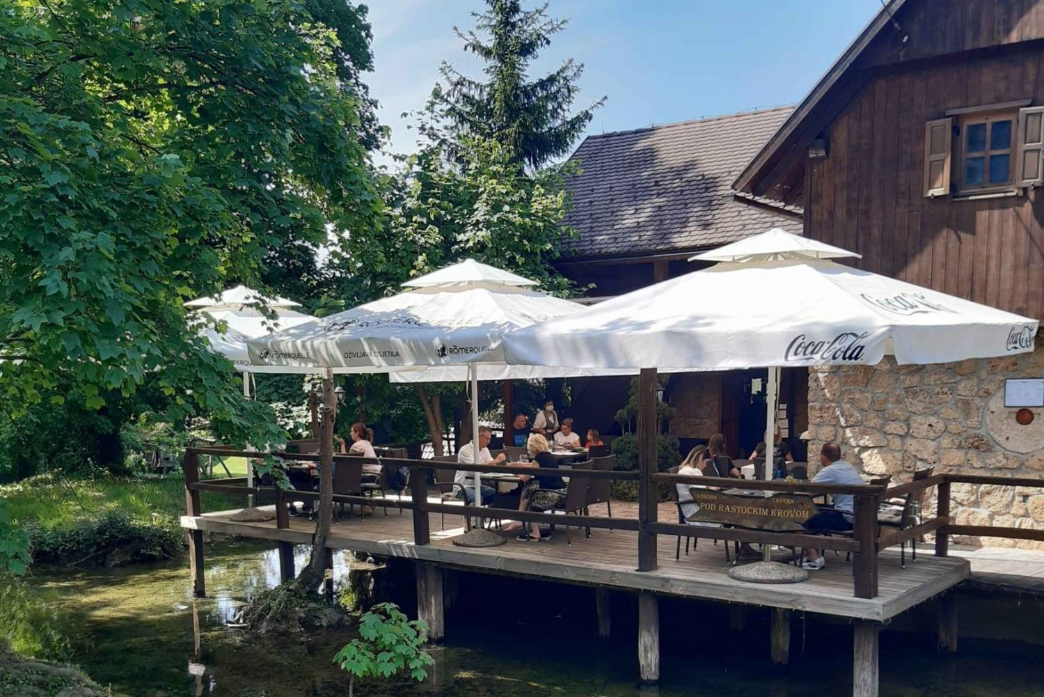 Dolphin tour 2 hours