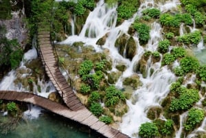 Dolphin tour 2 hours