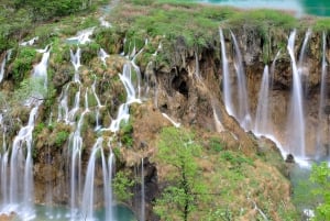Dolphin tour 2 hours
