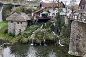 Dolphin tour 2 hours