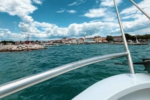 Pula: All-inclusive båttur til Brijuni med lunsj, drikke og svømming