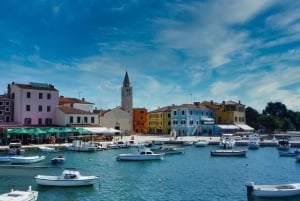 Pula: All-inclusive båttur til Brijuni med lunsj, drikke og svømming