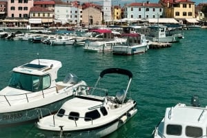 Pula: All-inclusive båttur til Brijuni med lunsj, drikke og svømming