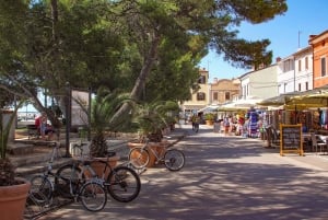 Pula: All-inclusive båttur til Brijuni med lunsj, drikke og svømming