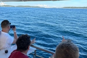 Pula: All-inclusive båttur til Brijuni med lunsj, drikke og svømming