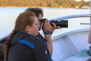 Pula: All-inclusive båttur til Brijuni med lunsj, drikke og svømming