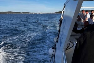 Pula: All-inclusive båttur til Brijuni med lunsj, drikke og svømming