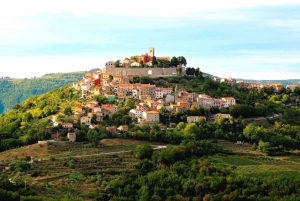 Pula and Motovun Tour and Truffle Hunting